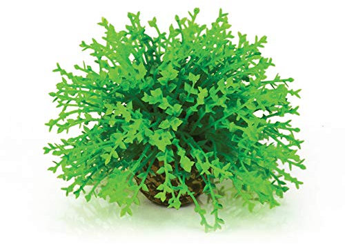 OASE biOrb Flowerball – akvarium-dekoration i form av japansk myssart, tillbehör för akvarium-handfat, 360 graders modell, i grönt
