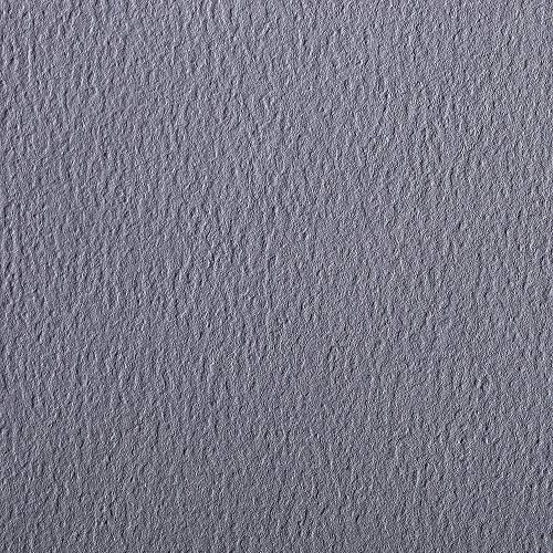 Clairefontaine 93768C Packung (mit 24 Bögen Zeichenpapier Etival Color, 50 x 65 cm, 160g, gekörnt, ideal für Trockentechnik und Einrahmen) dunkelgrau