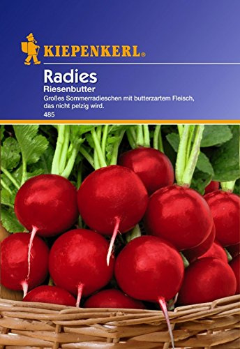 Kiepenkerl Kiepenkerl, Radies Riesenbutter