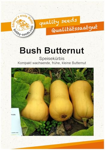 Bush Butternut Kürbissamen von Bobby-Seeds, Portion