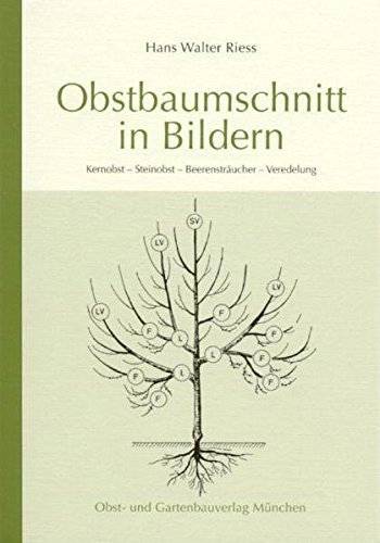Obstbaumschnitt in Bildern von Hans W Riess (2013) Taschenbuch