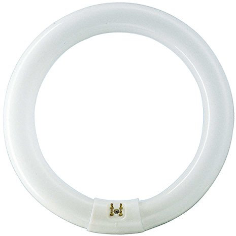 TUBO FLUORESCENTE CIRCULAR 32W Ø30cm TRIFOSFORO 865K LUZ FRIA PHILIPS