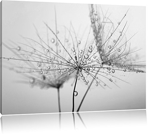 Pixxprint Pusteblume bedeckt mit Tropfen, Größe: 100x70cm, Leinwandbild, fertig gespannt, Wandbild, Dekoration, Kunstdruck, kein Poster