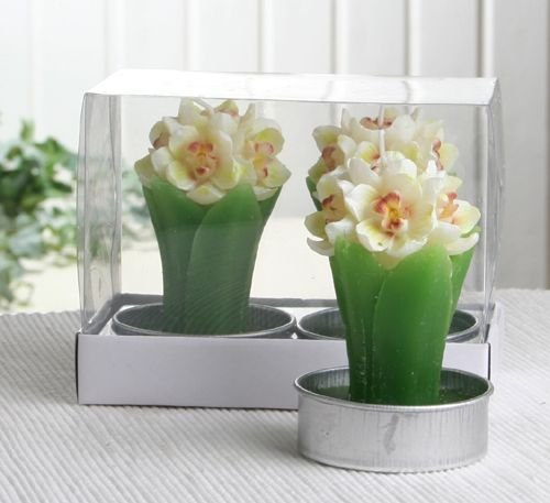2er-Pack Dekokerze / Maxi-Teelicht Hyazinthe, weiß