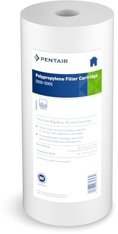 Pentair Pentek DGD-5005 Grand filtre à eau bleu, cartouche de filtre à sédiments de rechange pour toute la maison, 25,4 cm x 11,4 cm, 5 microns, lot de 1
