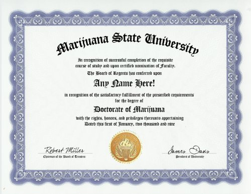 Marijuana Smoking Pot Smoker Degree: Custom Gag Diploma Doctorate Certificate (Funny Customized Joke Gift - Novelty Item)