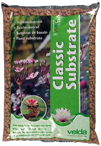 velda