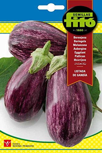 Semillas Fitó 16 - Semillas de Berenjena Listada de Gandia