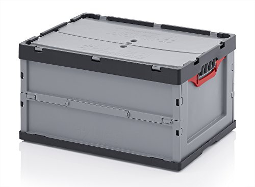 Auer Packaging 5x Profi-Faltbox 60 x 40 x 32 mit Deckel FBD 64/32 für Aufbewahrung Lagerung Garten Industrie Messe 60x40x32 | Behälter Stapelbehälter Aufbewahrungskiste Transportbox Plastikbox Klappbox, 67L