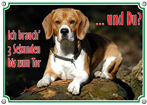 Petsigns Hunde Hinweisschild Warnschild - Beagle - Metallschild mit Fotodruck, DIN A4