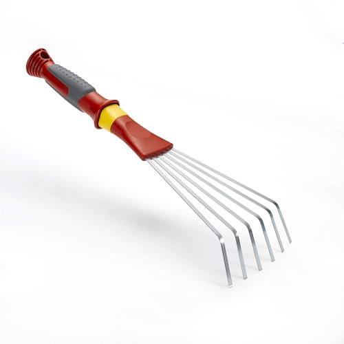 Outils Wolf | Petit Balai À Main| LDK