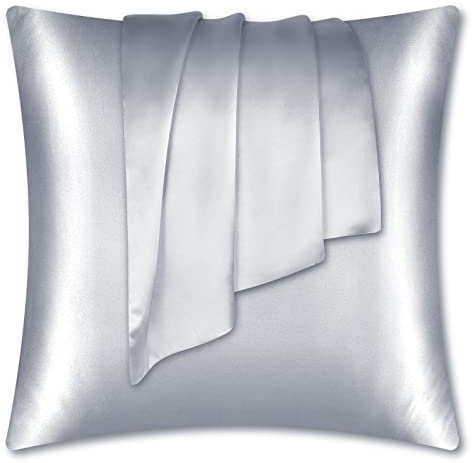 LULUSILK Seide Kissenbezug 80x80cm Silbergrau, Haar- & Hautpflege, 1 Stück | 100% echte Maulbeerseide, verdeckter Reißverschluss. Atmungsaktiv, sommerkühlend. Geschenkverpackung.
