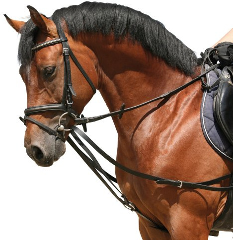 Pfiff 004527 Dreieckszügel, Wiener Zügel Laufferzügel Brandelzügel, Pony Full