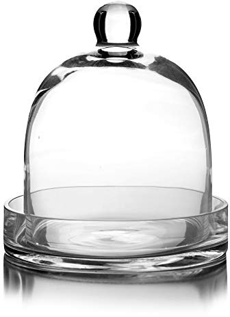 CYS EXCEL Glass Bell Dome Cloche with Glass Base (H:8 W:7) | Multiple Size Choices Terrarium Jar Plant Cover | Cake Dessert Display