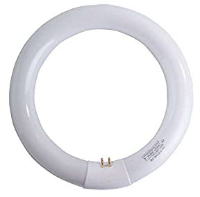 Circolina 22Watt T9 4Pin G10Q 4200K Lumen 1350