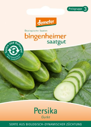 Bingenheimer Saatgut - Freilandgurke Persika - Gemüse Saatgut / Samen