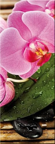 artissimo Bild aus Glas 30x80 cm Blumen AG9414A – modernes Glasbild Wandbild Hochformat, Wanddeko Wohnzimmer rosa grün, floral Zen Spa Stil