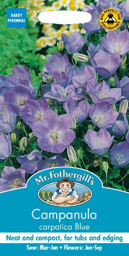 Mr Fothergill's 11143 Flower Seeds, Campanula carpatica Blue