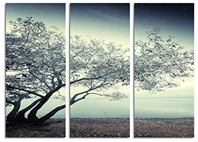 Paul Sinus Art 130x90cm – Keilrahmenbild Fluss Nacht Baum Sternenhimmel 3teiliges Wandbild auf Leinwand und Keilrahmen - Fotobild Kunstdruck Artprint