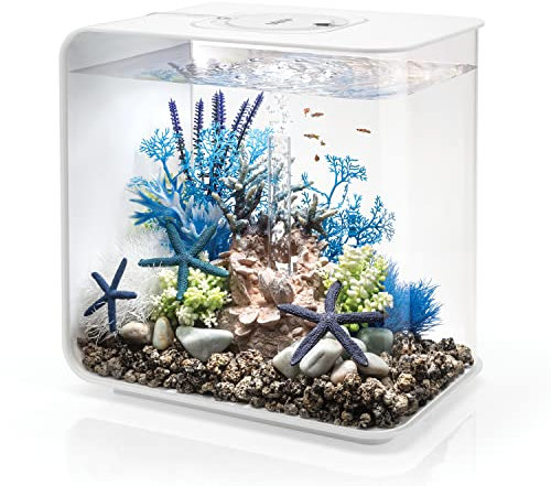 biOrb 72034 FLOW 30 LED, weiß, 30 L Tankvolumen – rechtkantiges Design-Aquarium aus Acryl, Set mit Filter-System, LED-Beleuchtung, Boden-Kies, Luftausströmer