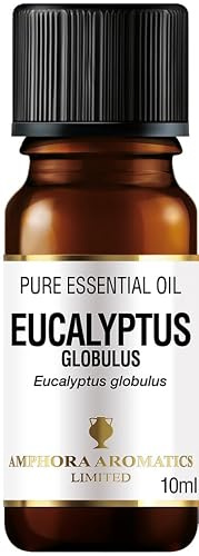 Amphora Aromatics Eucalyptus Essential Oil 10ml