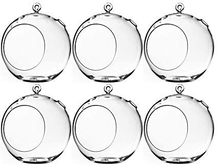 Terrarium en verre de grande taille 22,9 cm de haut