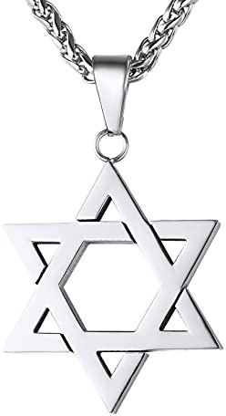 U7 Jewish Megan Star Pendant Stainless Steel Wheat Rope Chain with Star of David Necklace for Men -22 Inch