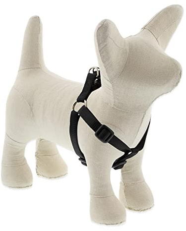 LupinePet Basics 1/2 Black 10-13 Step In Harness for Extra Small Dogs