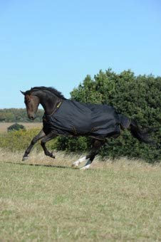 IRISH TURNOUT Pferdedecke Extra 300g