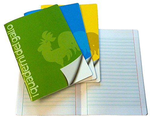 4 carnets spéciaux pour dysgraphie et dyslexie avec des carrés de 4 mm.
