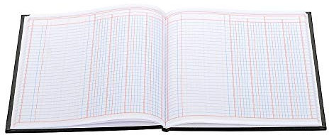 Wilson Jones Spaltenbuch mit einer Seite, 24 x 17,8 cm, 4 Spalten