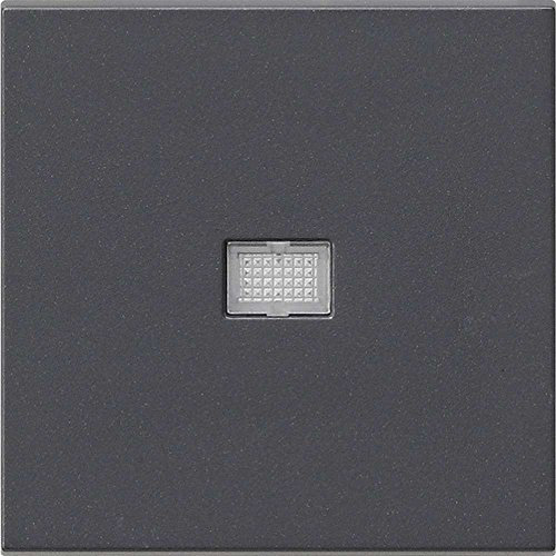 GIRA Wippe anth m.Kontroll-Fenster 029828