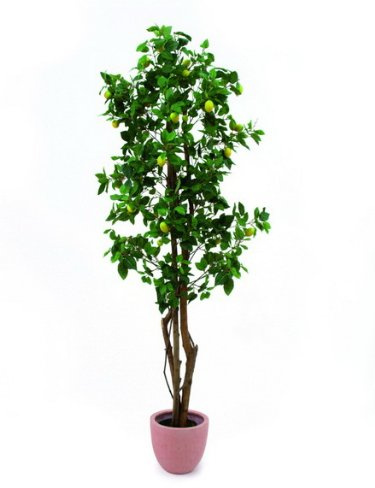EUROPALMS Zitronenbaum, Kunstpflanze, 180cm