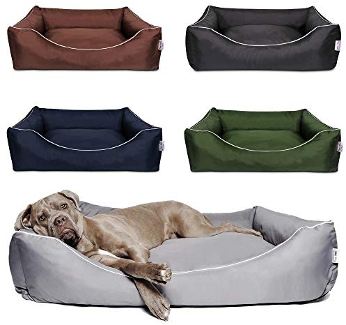 Tante Hilde Hundebett Norderney XXL (100x80x25) Grau – Waschbar, Robust und Gemütliches Hundebett & Hundekorb in Verschiedenen Größen – Ideal für mittelgroße Hunde z.B. Australian Shepherd, Collie