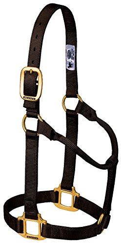 Väv läder original icke-justerbar nylon hästgrimma stor, brun