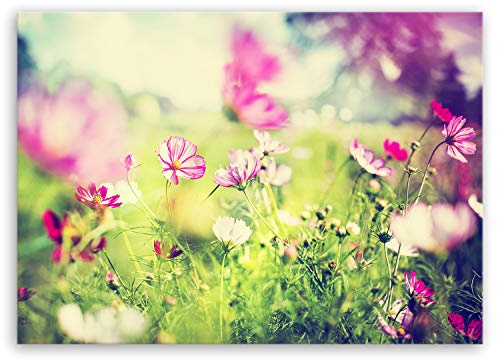 ge Bildet Bild auf Leinwand | Frühling - blumen natur Wiese rosa pink bunt L in 100x70 cm als Wandbild | Wand-deko Dekoration Wohnung modern Bilder | 2206