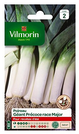 Poireau Géant Précoce Race Major Vilmorin