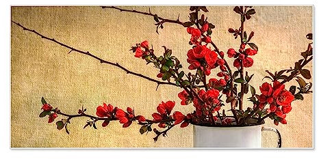 banjado Magnettafel weiß 78 x 37cm / Magnetwand Metall/Magnetpinnwand als Memoboard/Pinnwand Magnettafel Küche, Büro, Kinderzimmer inkl. 4 Magnete & Montageset - Motiv Berberitzen