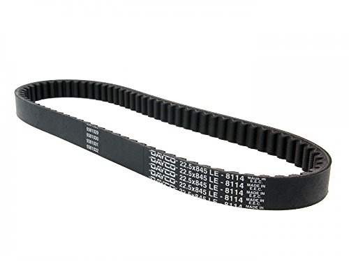 Dayco 8114K Power Plus Keilriemen Kevlar Verstärkt, L845 X B22.5