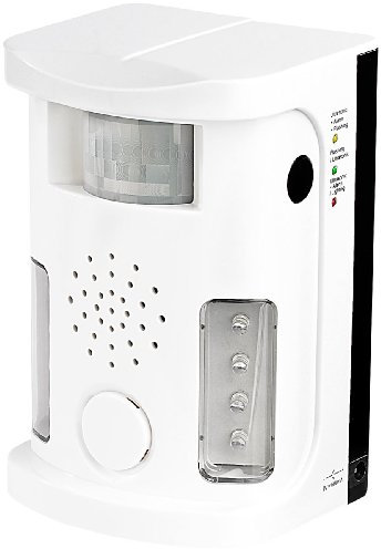 Exbuster Katzenalarm: Ultraschall-Tierschreck mit Bewegungssensor, Alarm, LED-Licht, 80 m² (Katzenalarm Garten, Tierschreck mit Bewegungsmelder, Lampe mit Bewegungs Melder)