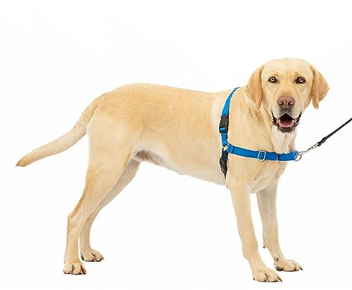 PetSafe Easy Walk No-Pull hundsele – den ultimata selen som hjälper till att sluta dra – ta kontroll och lära bättre koppelsätt – hjälper till att förhindra att husdjur drar på promenader, stor,