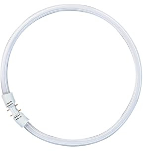 Osram Lumilux T5 FC 2Gx13 22 W/840 Lampada fluorescente