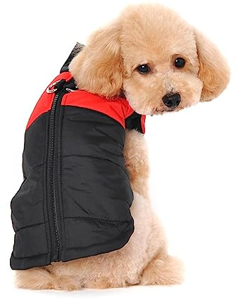Ectkuee Petit Manteau imperméable pour Chien Veste d'hiver rembourré matelassé Doudoune pour Chien Pet Chiot vêtements Assortis Tailles et Couleur