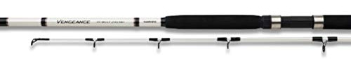 Shimano Vengeance AX Boat 240H
