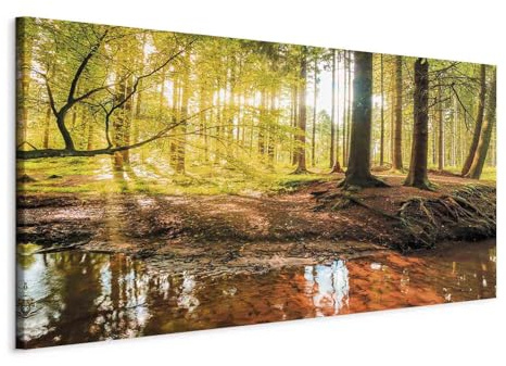 B&D XXL - Leinwandbild Baum Natur Landschaft, 120x60 cm, 1-teilig, modern | Hochwertige Leinwand, sofort aufhängbar, ideal fürs Wohn- oder Schlafzimmer, wasserfest und lichtecht, langlebig, stilvoll