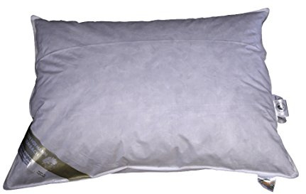 Betten Hofmann Canada Kopfkissen 70x90 cm Federkissen Kissen 30% Daunenanteil 1000g