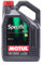 Motul 101719 Olio Motore specifico CNG/GPL 5W-40 Olio Motore a Bassa viscosità 5 L