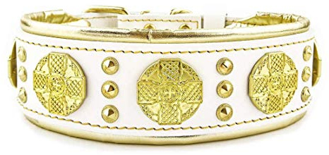 Bestia Maximus Weiss Echtleder Hundehalsband für große Hunde. 100% Leder. | Größe XXL- 65 bis 75 cm Halsumfang, Weiss/Gold, 6,3 cm breit
