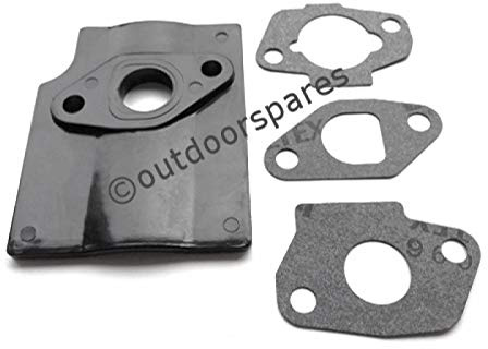 Mountfield RS100 Kit joints de carburateur, pour SP414 et Hp414 118550699/0