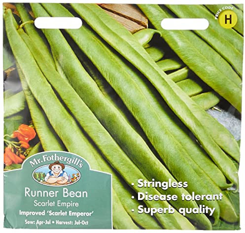 Mr Fothergill's 10649 Vegetable Seeds, Runner Bean Scarlet Empire (Stringless)